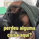Reações 🐈🐕♥️ 5