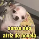 Reações 🐈🐕♥️ 6
