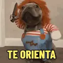 Reações 🐈🐕♥️ 7