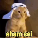 Reações 🐈🐕♥️ 9