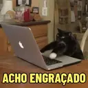 Reações 🐈🐕♥️ 10