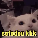 Reações 🐈🐕♥️ 12