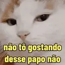 Reações 🐈🐕♥️ 15