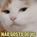 NÃO GOSTO DE VC
