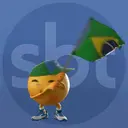 Copa America SBT 2021 2