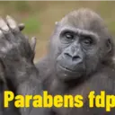 Memes de todo tipo  6