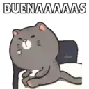 Más Michitos🐱😍💖 1