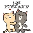 Más Michitos🐱😍💖 4