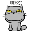 Más Michitos🐱😍💖 8