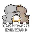 Más Michitos🐱😍💖 9