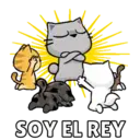 Más Michitos🐱😍💖 10