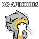 Más Michitos🐱😍💖 13