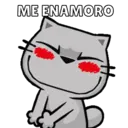 Más Michitos🐱😍💖 15