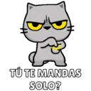 Más Michitos🐱😍💖 16