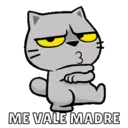 Más Michitos🐱😍💖 17