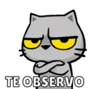 Más Michitos🐱😍💖 18