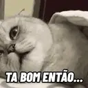 SÓ AS BOAS👀 3
