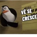 SÓ AS BOAS👀 11