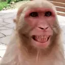 MEMES ALEATÓRIOS😜 5