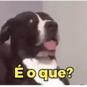 MEMES ALEATÓRIOS😜 9
