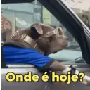 MEMES ALEATÓRIOS😜 12