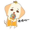 阿9阿5 4