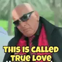 Bollywood 13