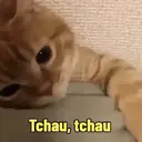 Reações animadas 9