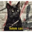Pra irritar o mosão  9