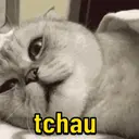 Pra irritar o mosão  12
