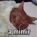 Pra irritar o mosão  13