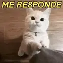 SÓ FOFURICES 🥰 7