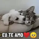 COISA FOFINHA🥰 3