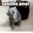 COISA FOFINHA🥰 10