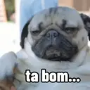 NÃO ACREDITO 😐 9