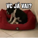 NÃO ACREDITO 😐 15