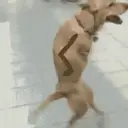 Melhores memes da semana 3
