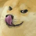 Trending Memes 14