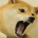Trending Memes 15