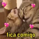 Memes aleatorios 3