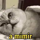 Memes aleatorios 6