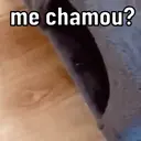 Memes aleatorios 7