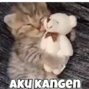 ILY 12