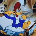 Picapau 8