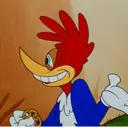 Picapau 12