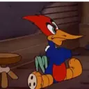 Picapau 13