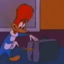 Picapau 15