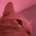 Memes pra você ✨ 8