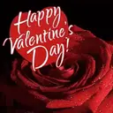 Valentine Day Special 6