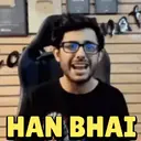 Carryminati 12